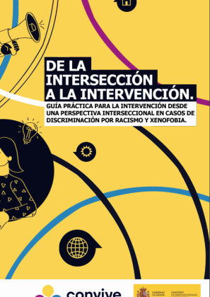 De la intersección a la intervención. Guía practica